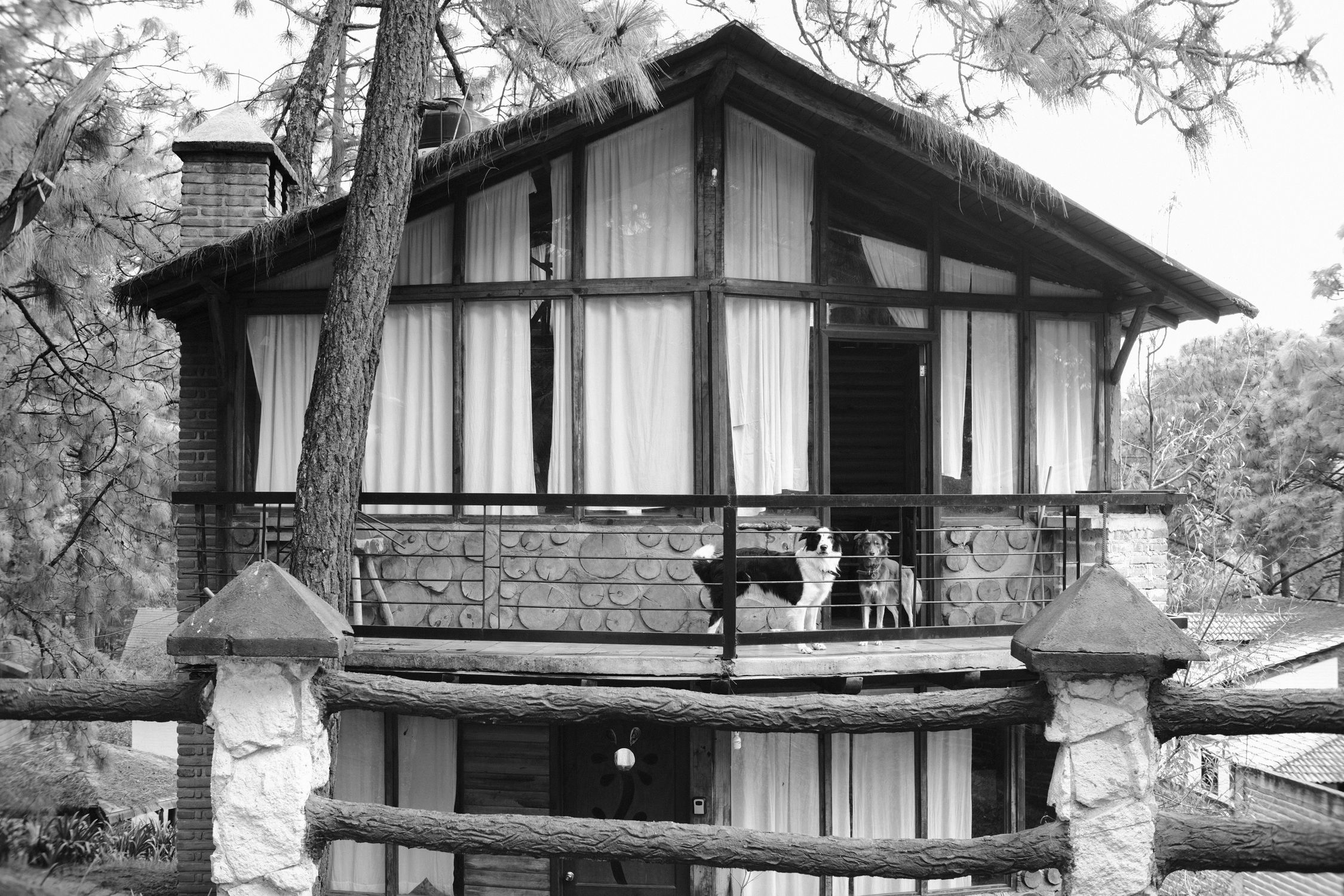 Black and white image of a rustic wooden cabin with dogs on the balcony.