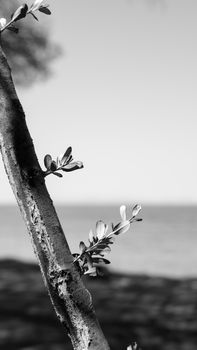 Image by Emine  Uluğ