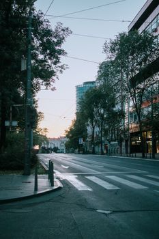 Capture of an empty city street at twilight with buildings and trees lining the road.