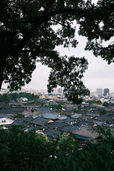 전주 한옥마을 야간 홍등 조명 풍경