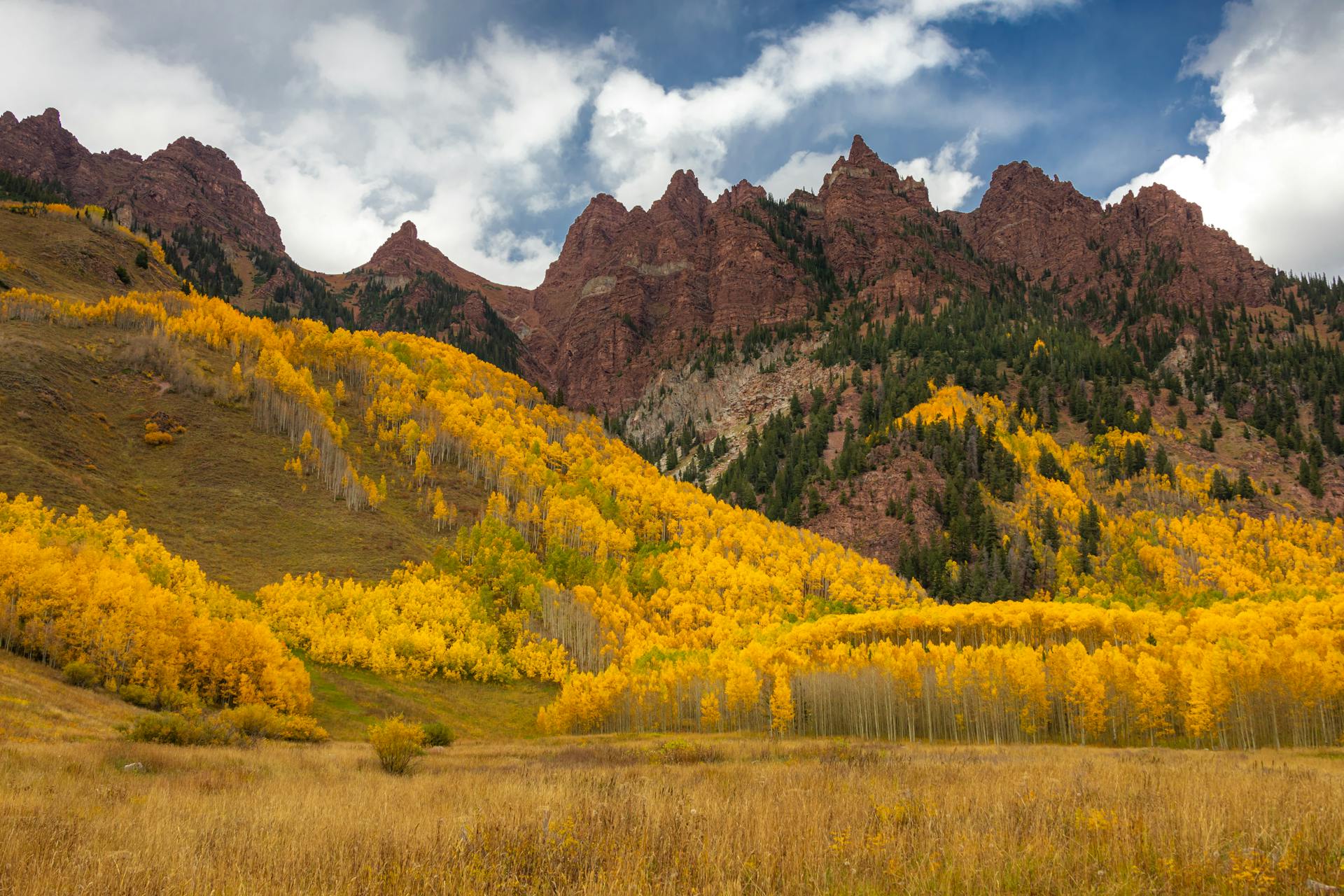 Stunning autumn view of vibrant yellow aspen trees against rocky peaks under a dramatic sky.