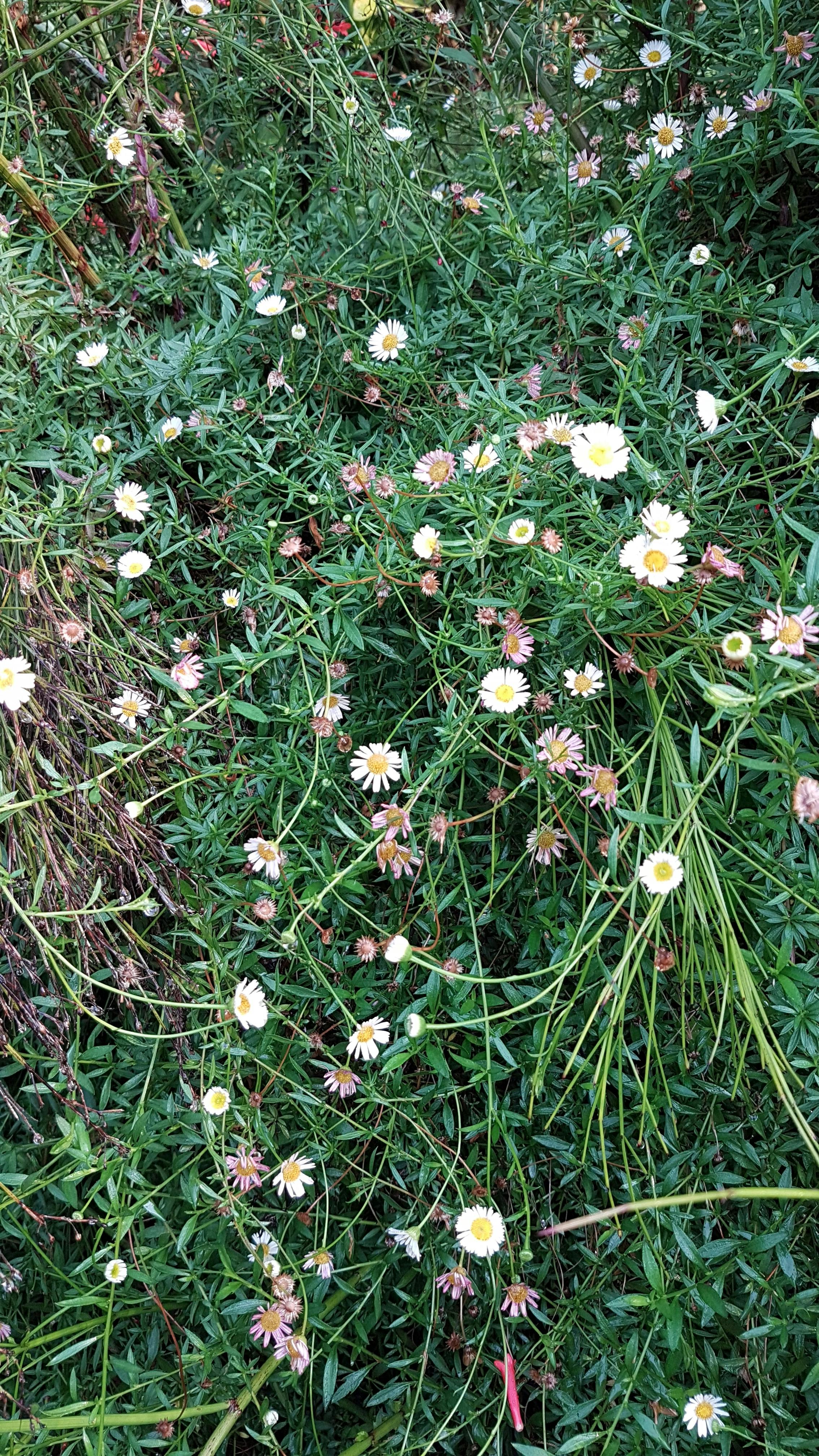 Electronic components and circuit boards laid out on a workshop table