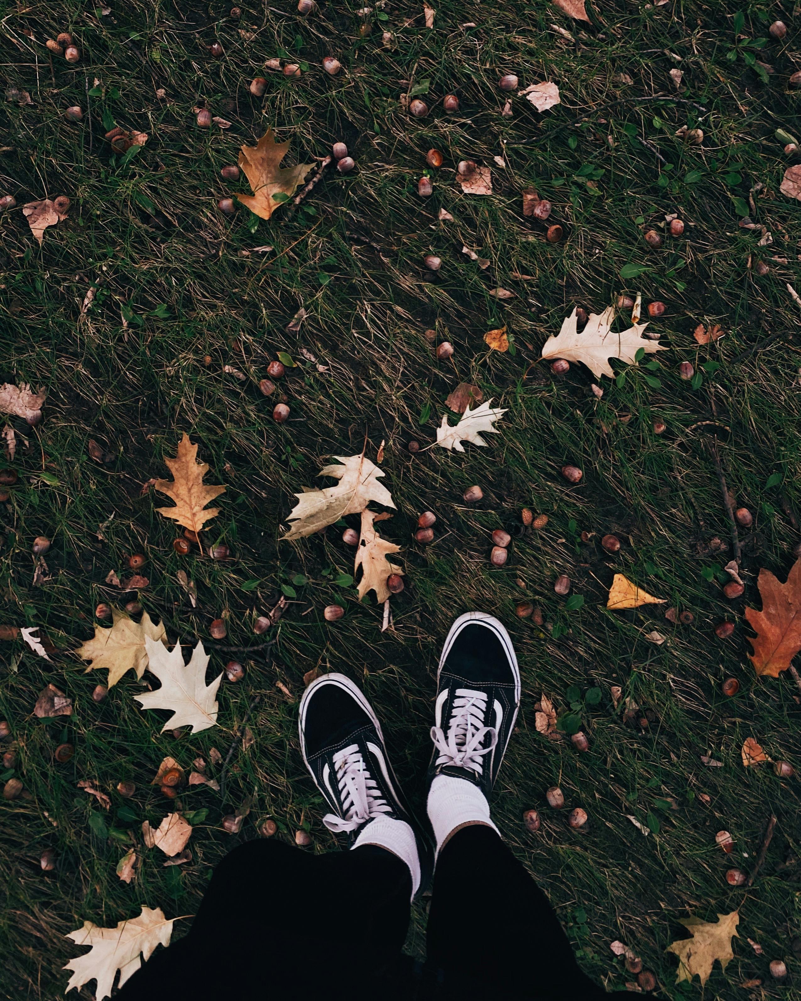 casual sneakers on autumn leaf covered grass