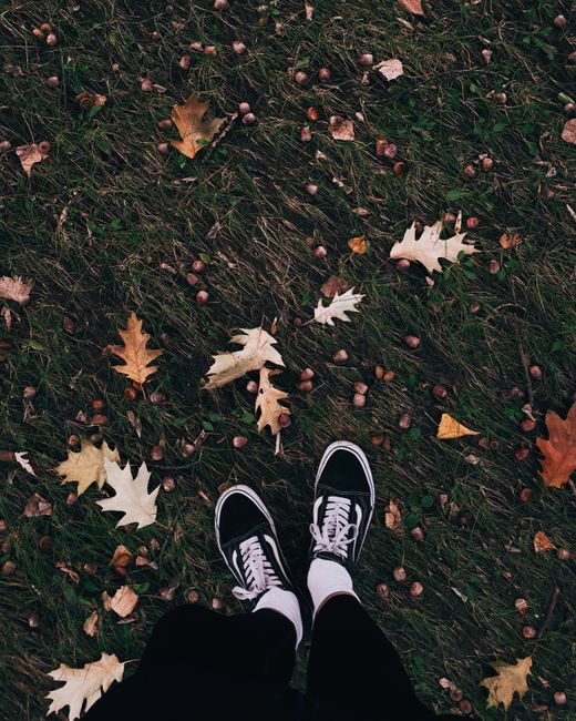 Person wearing sneakers standing on grass with scattered autumn leaves in Kyiv, Ukraine.