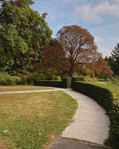 Free A winding pathway in a lush Kyiv park during autumn, surrounded by vibrant foliage. Stock Photo