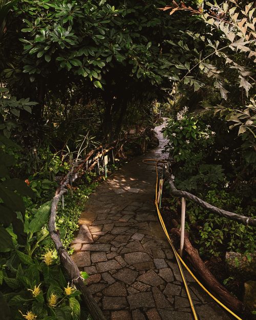 Free A tranquil stone pathway meanders through lush greenery in a serene garden setting, Kyiv, Ukraine. Stock Photo