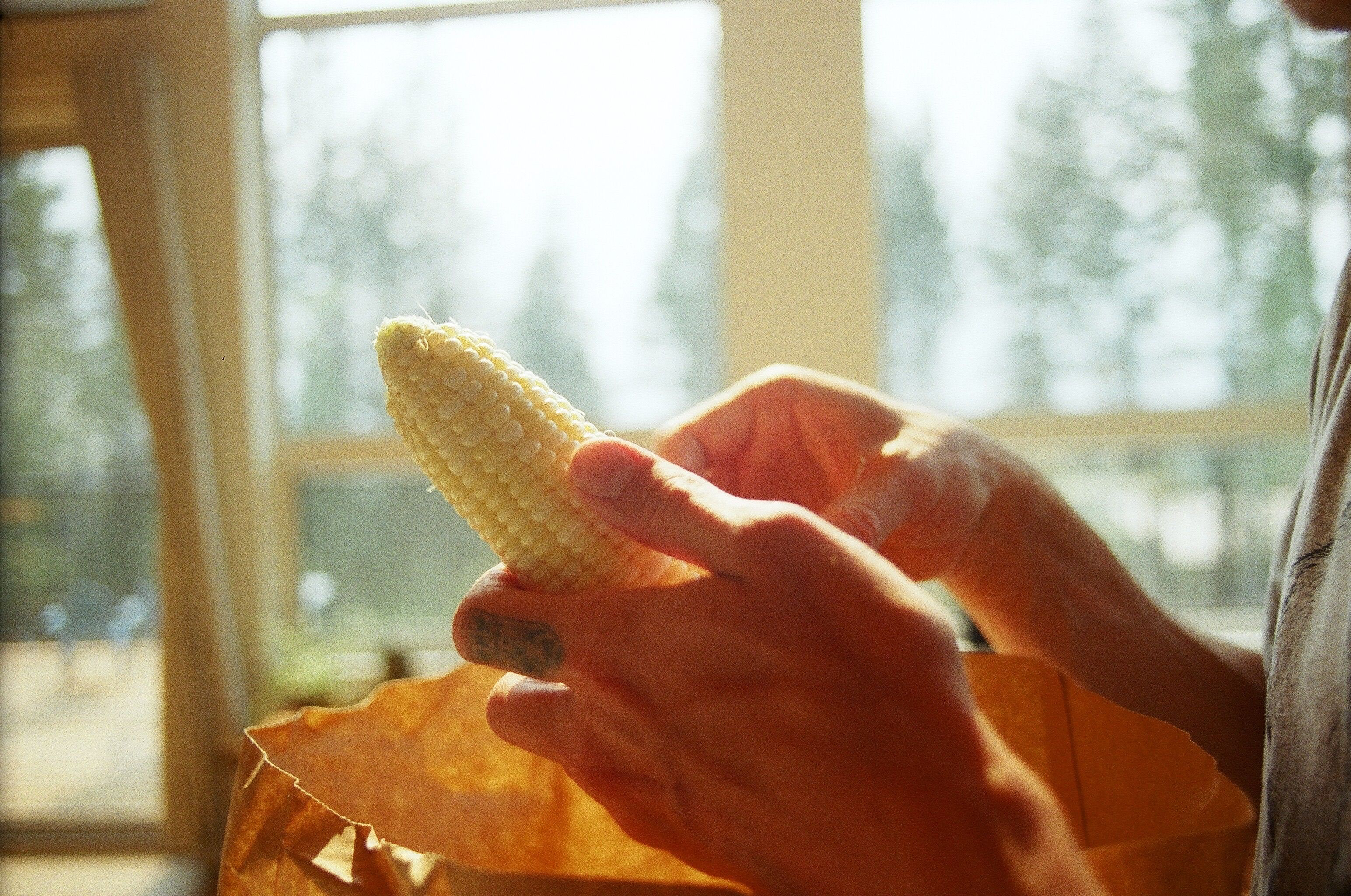 National Corn Growers Association and Ag Data Transparent Release Transparency Principles for Ag Carbon — Photo by Davy on Pe