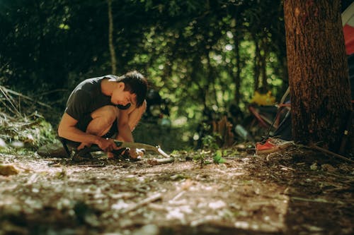 бесплатная Мужчина режет лес Стоковое фото
