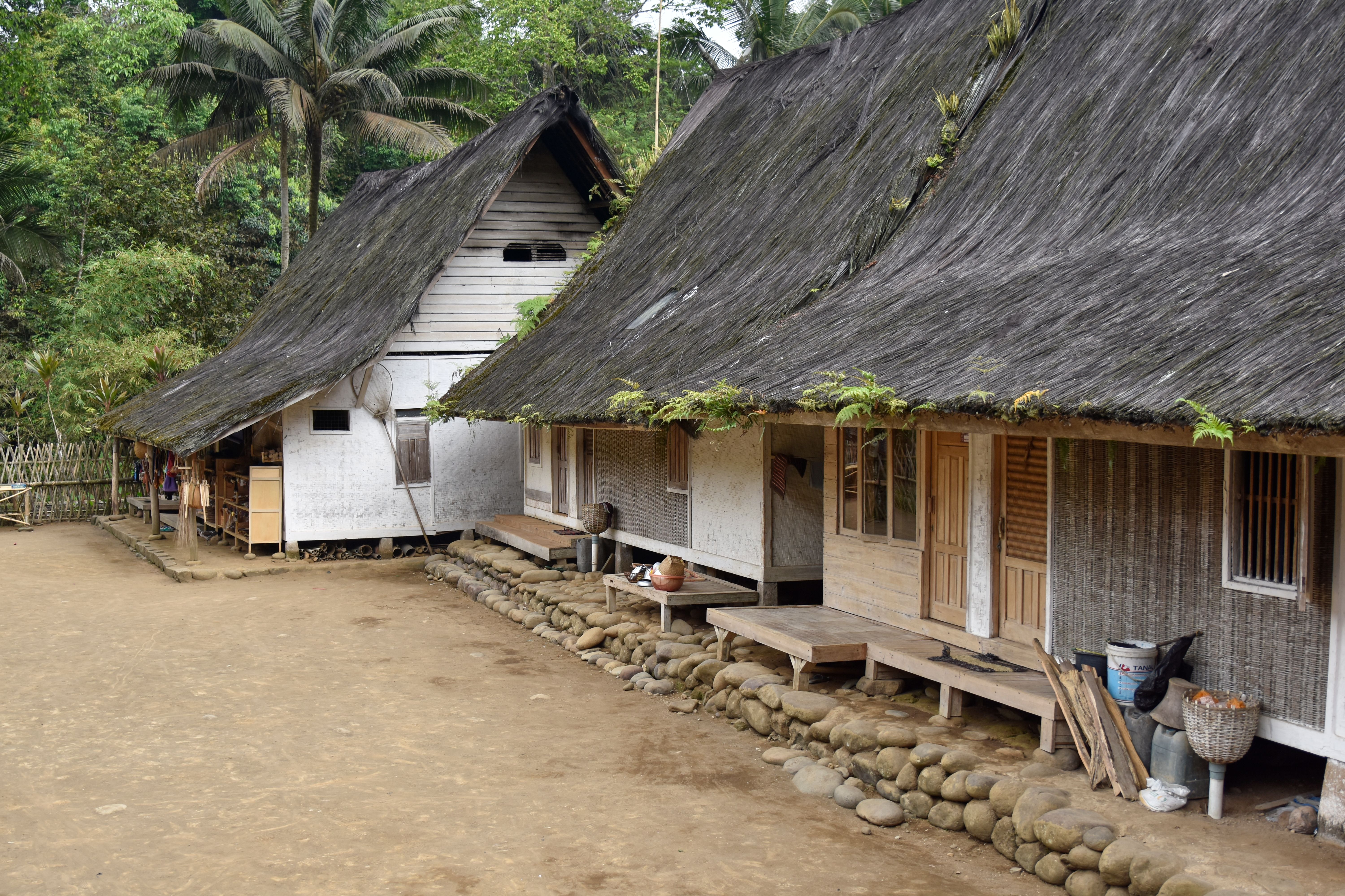 Charming view of traditional thatched-roof houses in a lush tropical village, showcasing vernacular architecture.