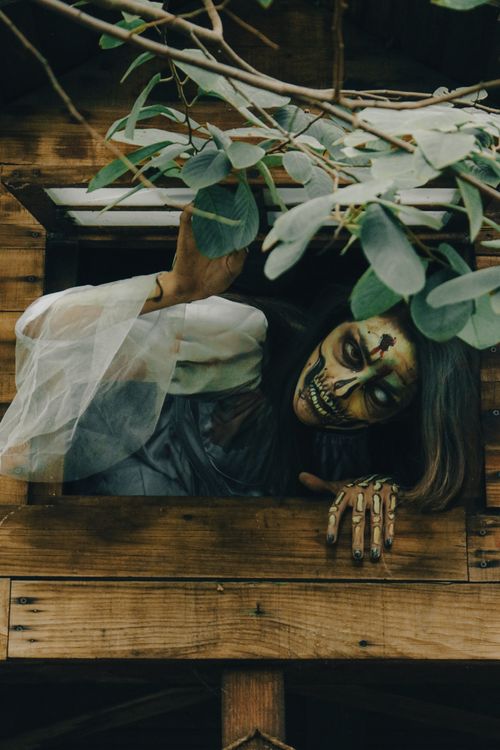Free A spooky zombie with face paint reaching out from a window surrounded by leaves. Stock Photo