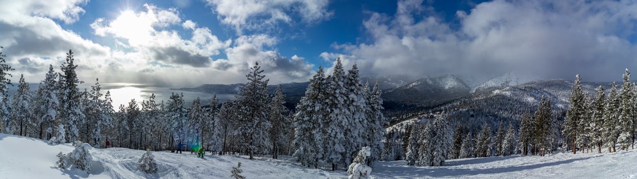 Panoramic view of snow-laden trees and mountains under a bright winter sky.