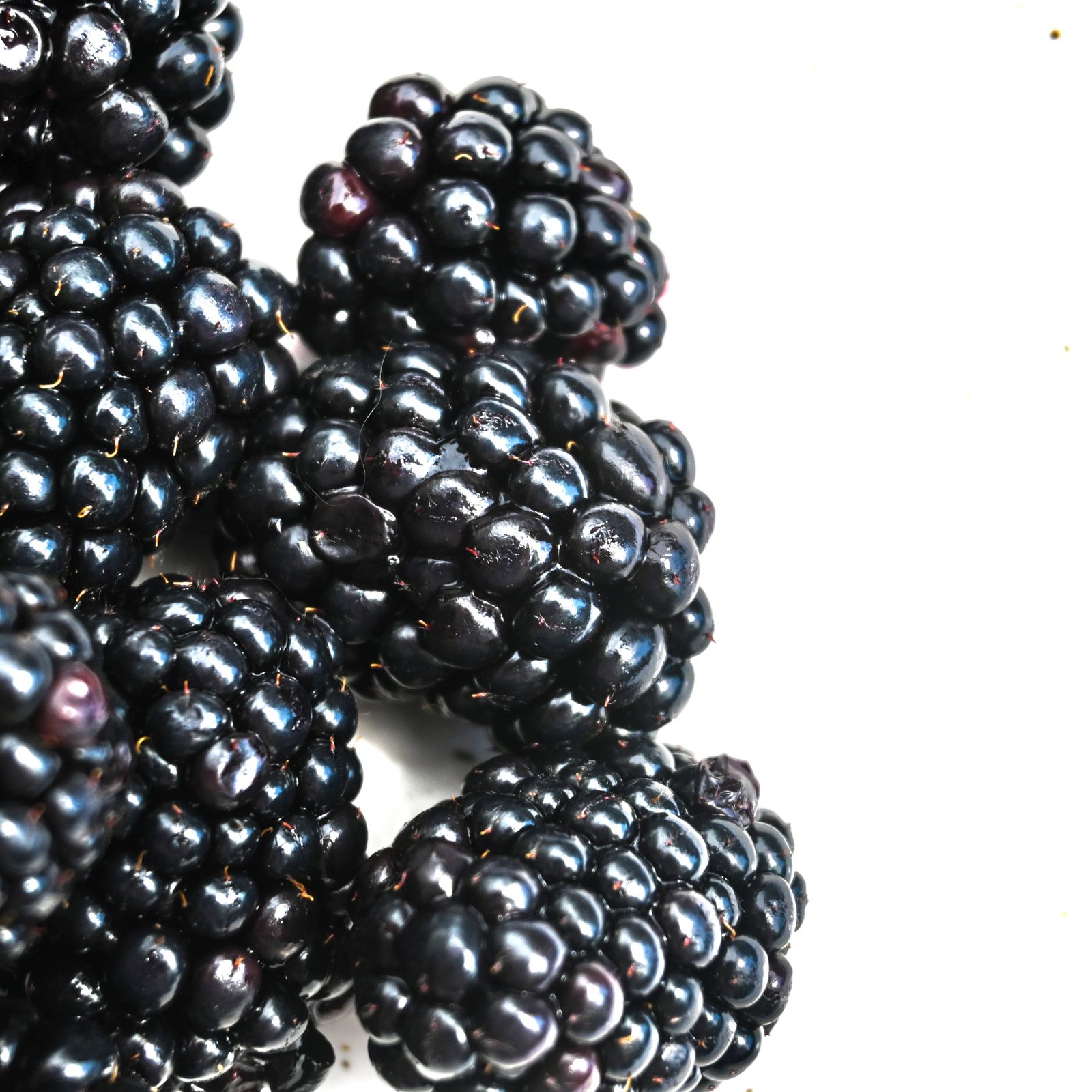 blackberry