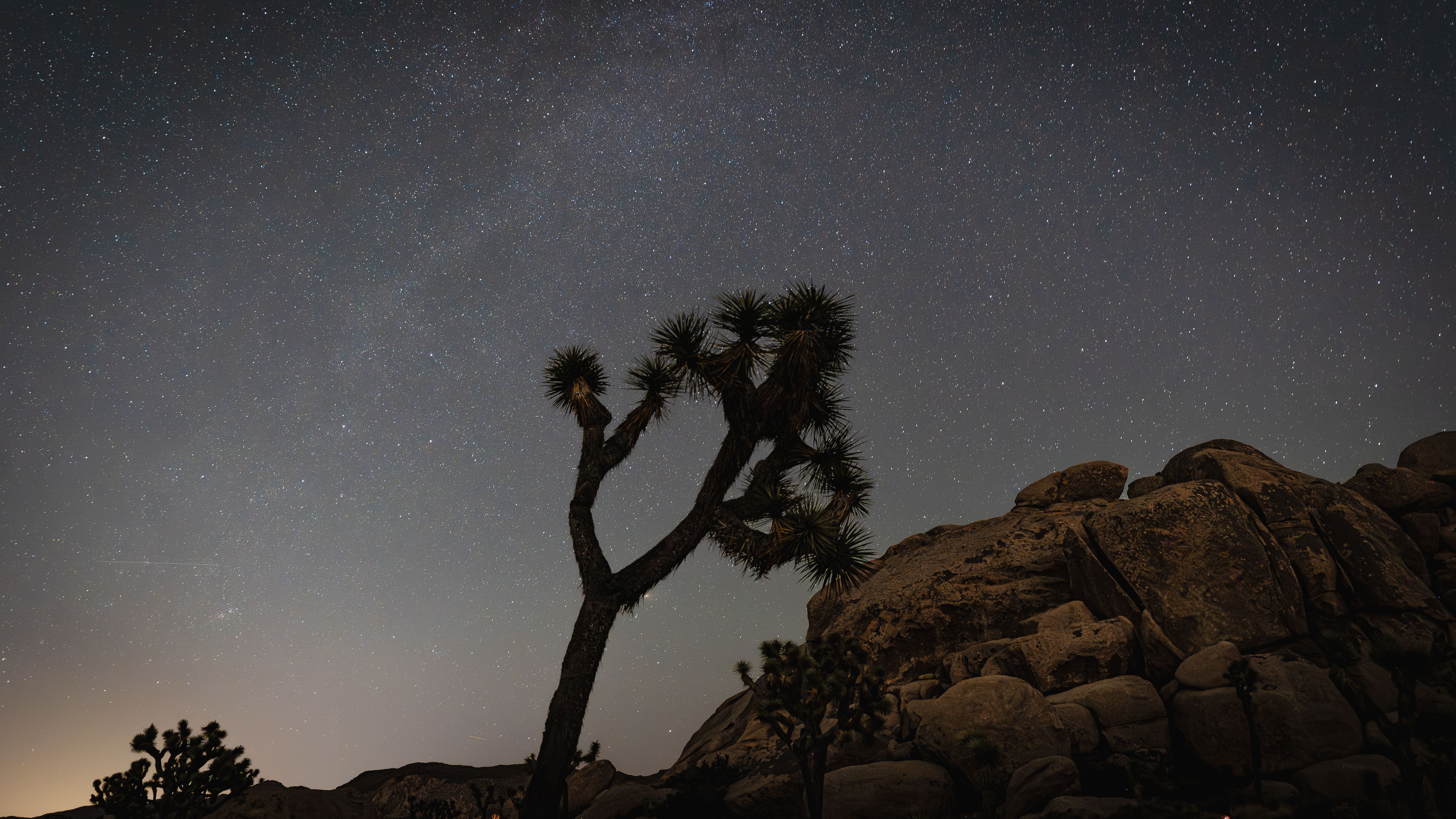 A breathtaking view of the stars over Joshua Tree National Park, highlighting its natural beauty.