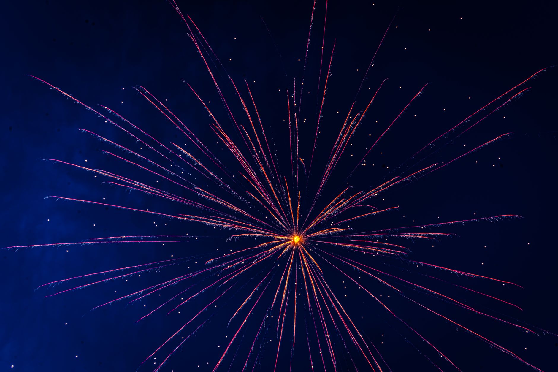 AI Infrastructure Is Exploding: Is Your Business Ready?
