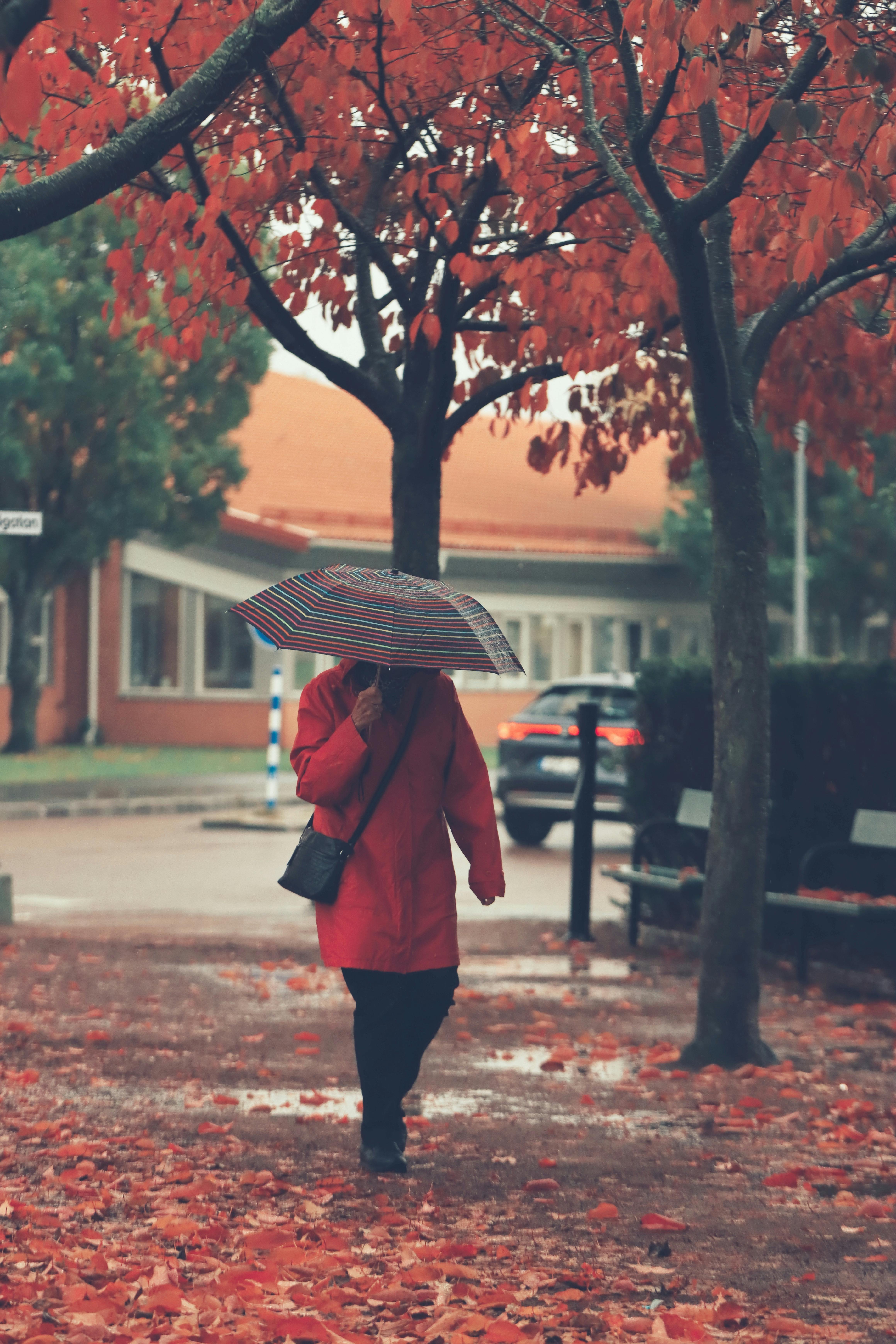 woman walking in autumn with umbrella in sweden