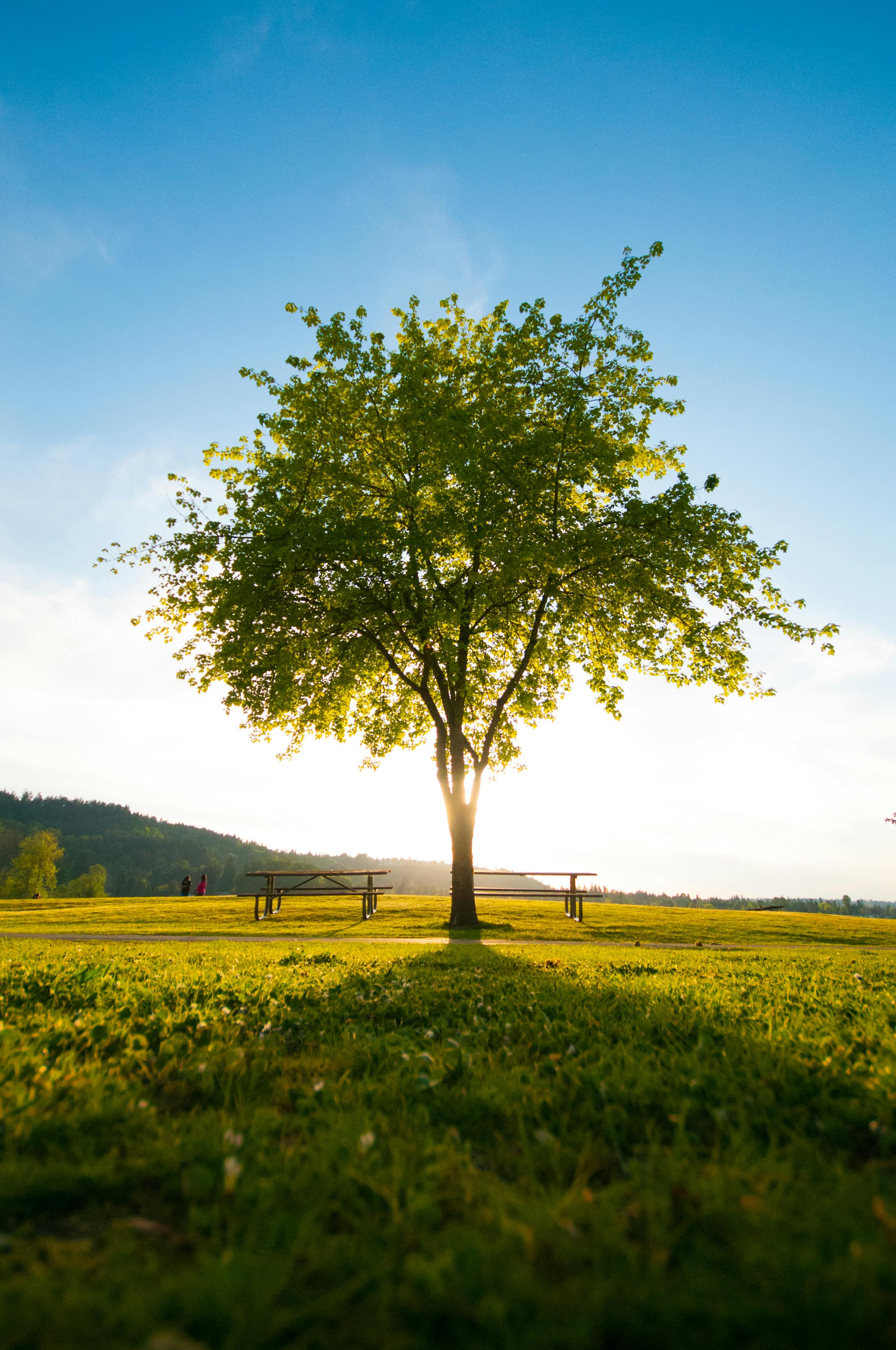 Minimizing Environmental Impact in Leather Wallet Manufacturing