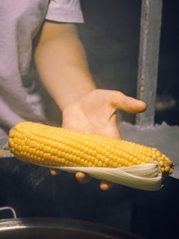 Hand presenting a fresh corn cob, perfect for cooking or grilling, in a market setting.