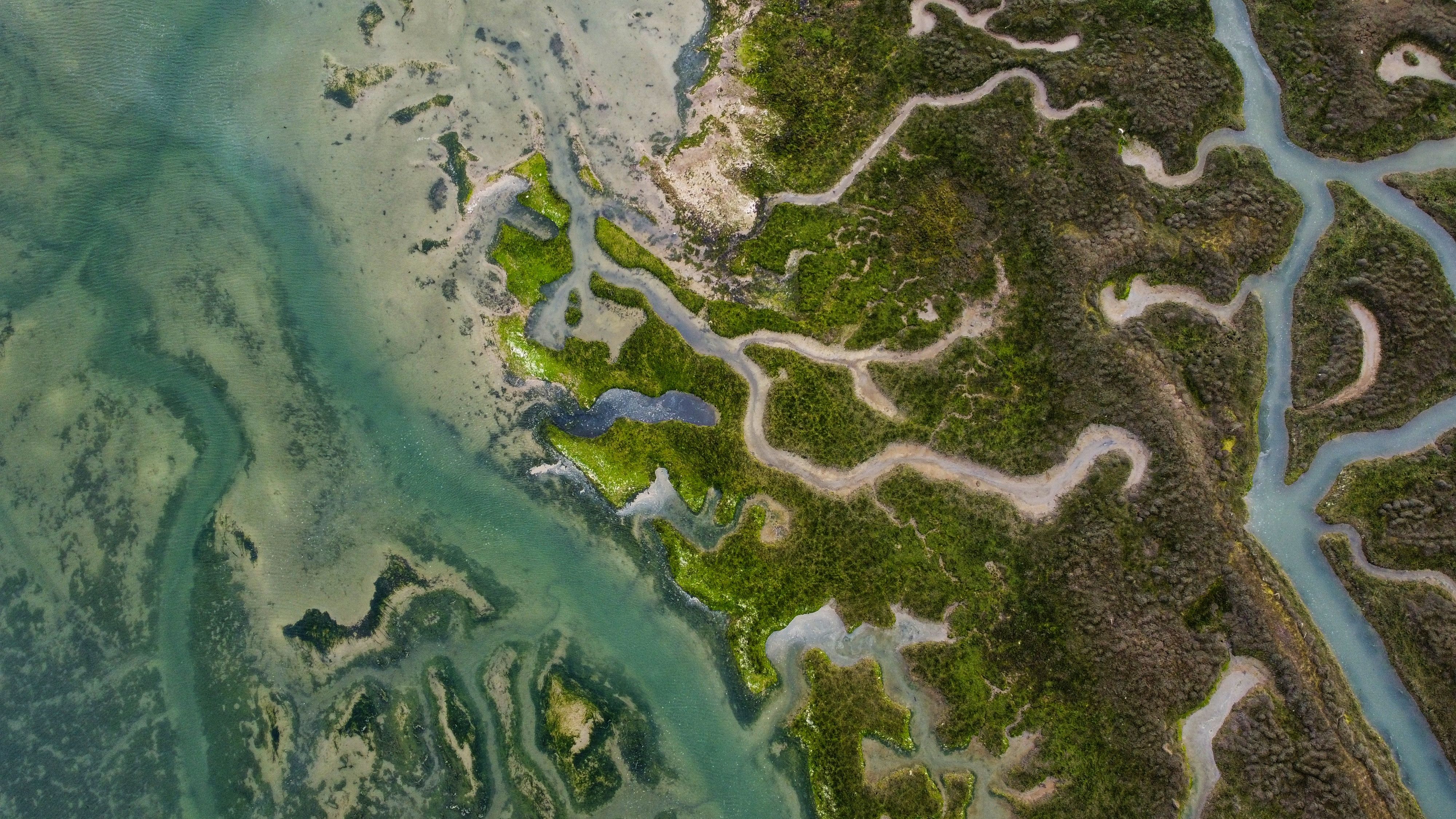 River estuary meeting the sea with mudflats