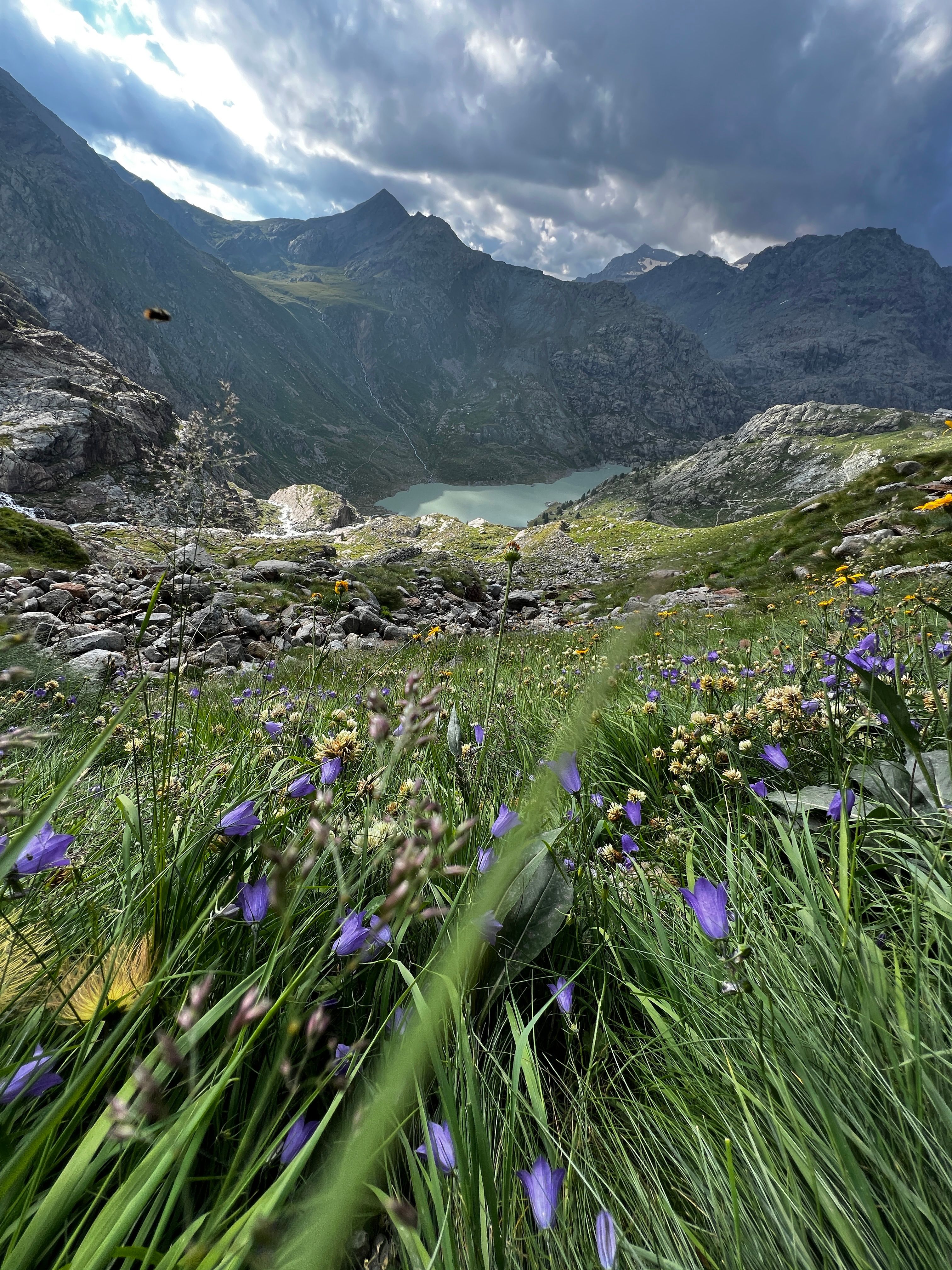 Valle De Montaña Con Flores Silvestres Y Cielo Espectacular · Foto de ...