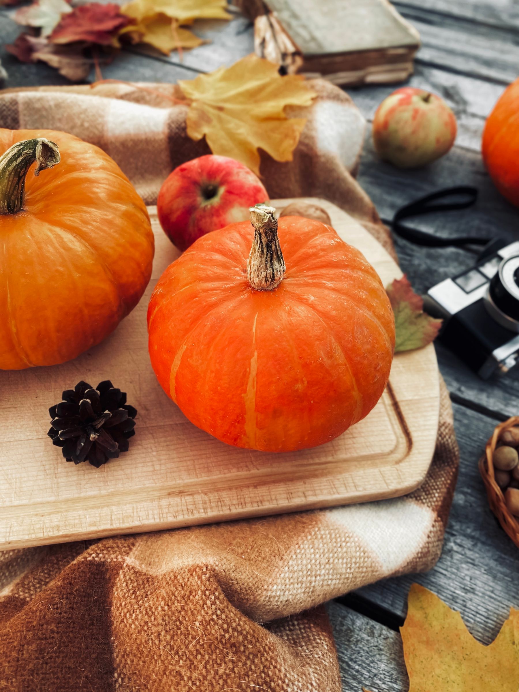 Seasonal still life with pumpkins, foliage and natural textures