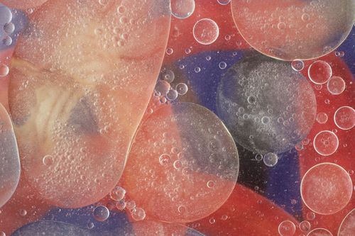 Free Macro shot of oil and water bubbles creating an abstract composition on a colorful background. Stock Photo