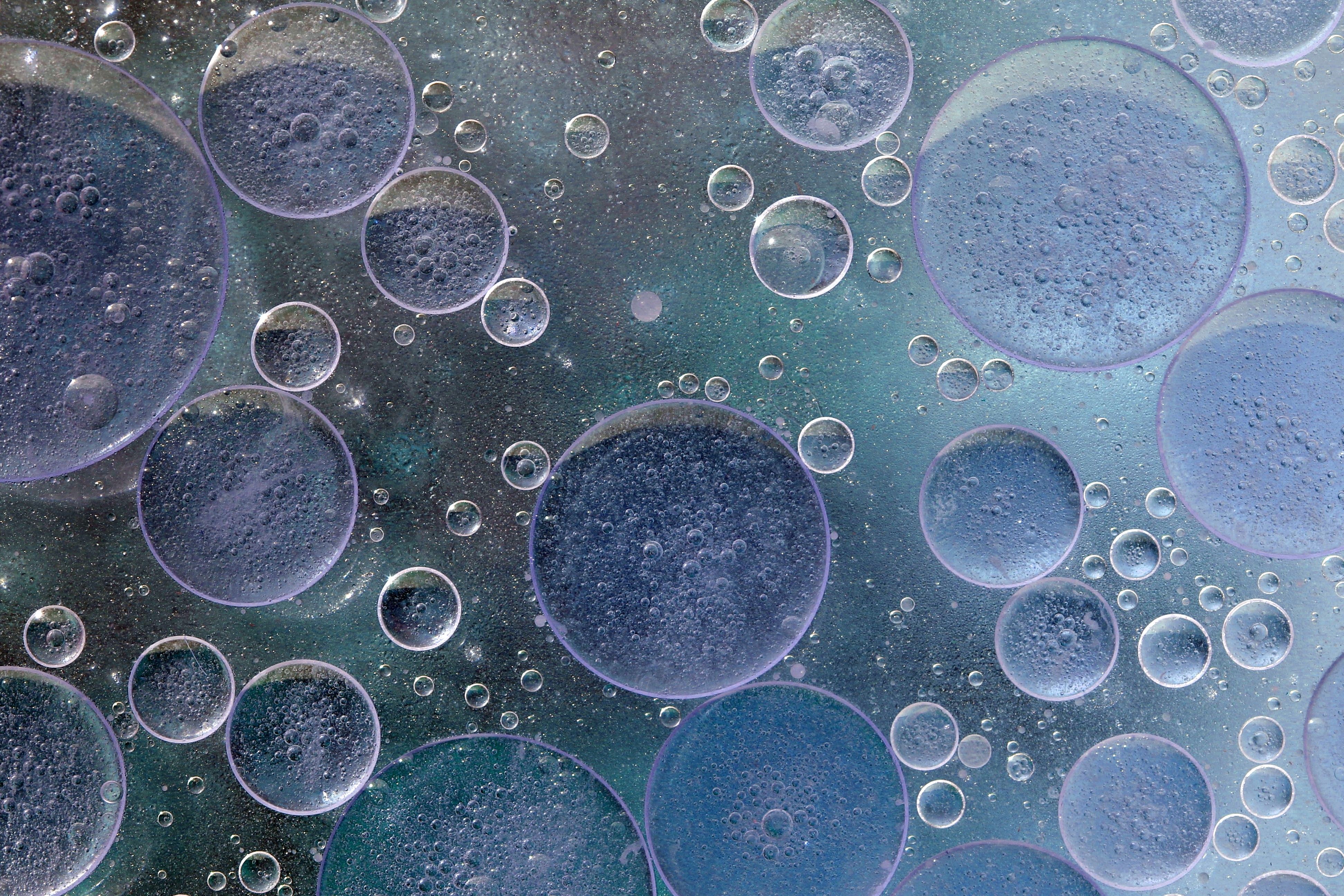 Lipids and DNA nanostructures independently control artificial cell mechanics