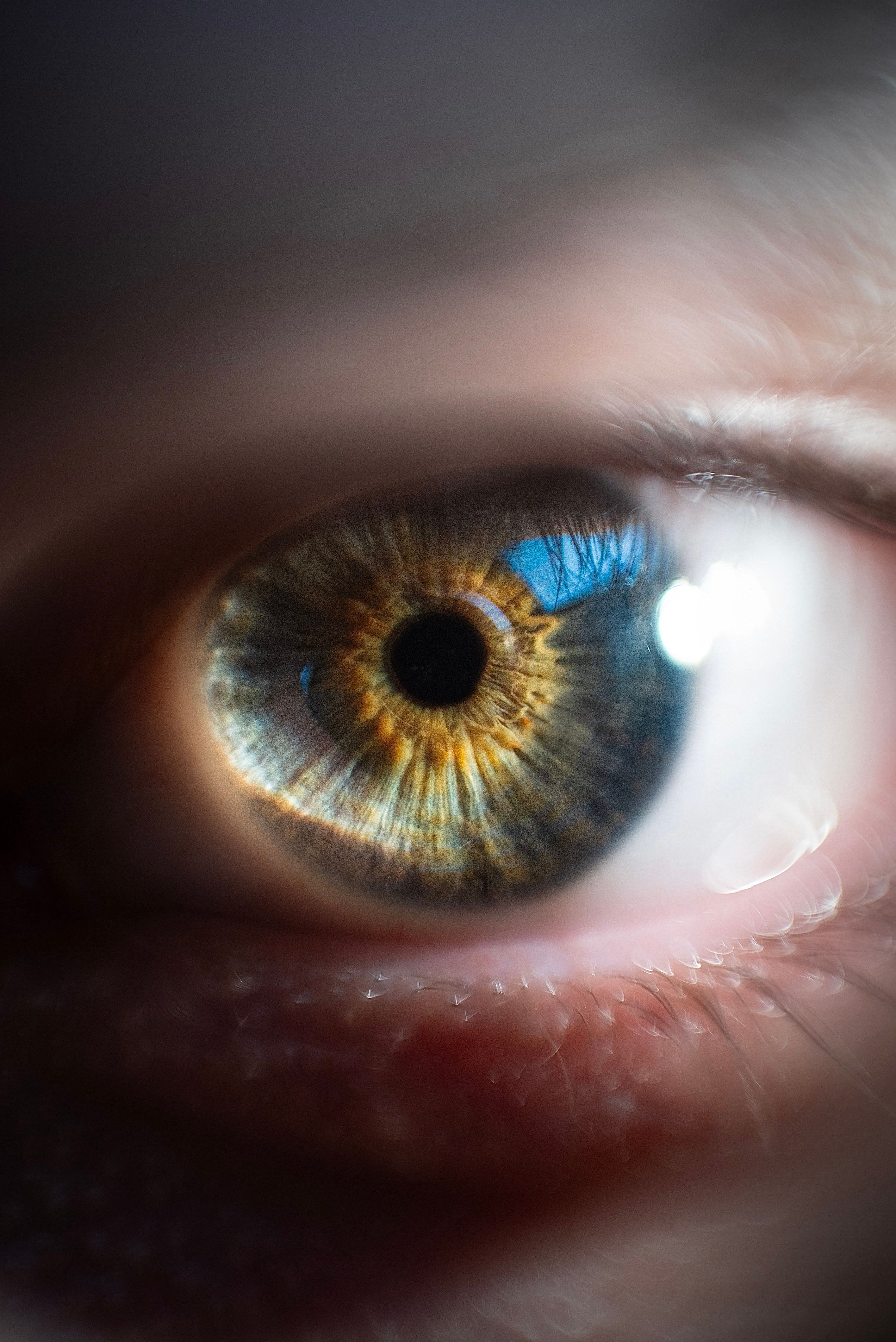 Fotomural Fotolia