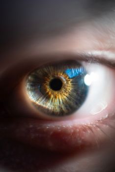 A detailed macro photograph capturing the intricate patterns and colors of a human eye.