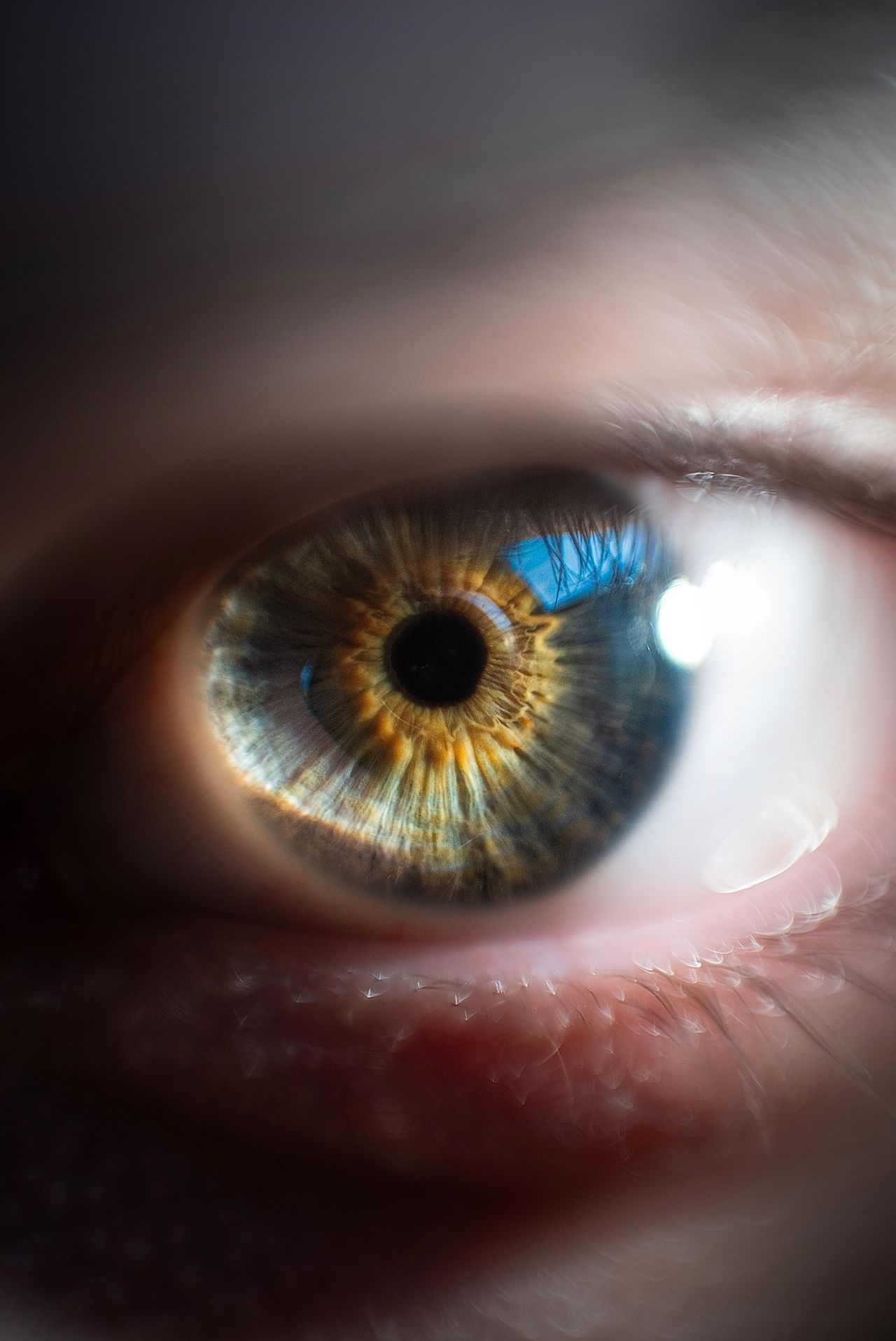 A macro photograph of an eye to show deep observation