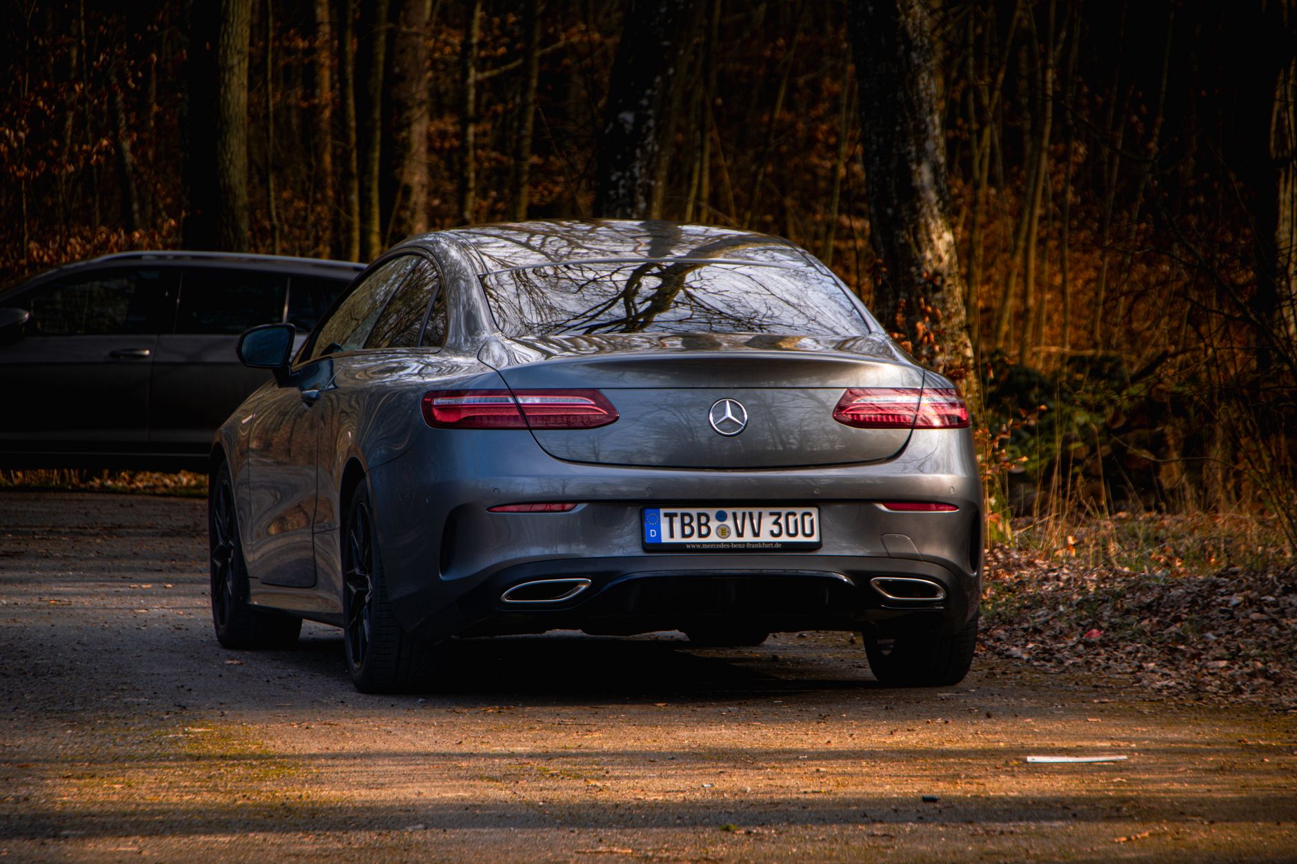 A sleek grey Mercedes-Benz parked in an autumn forest in Tauberbischofsheim, Germany.