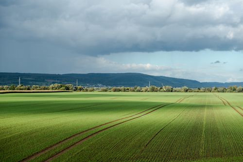 Free Green farmland in Höxter, Germany with rolling hills and dramatic clouds, showcasing rural beauty and tranquility. Stock Photo