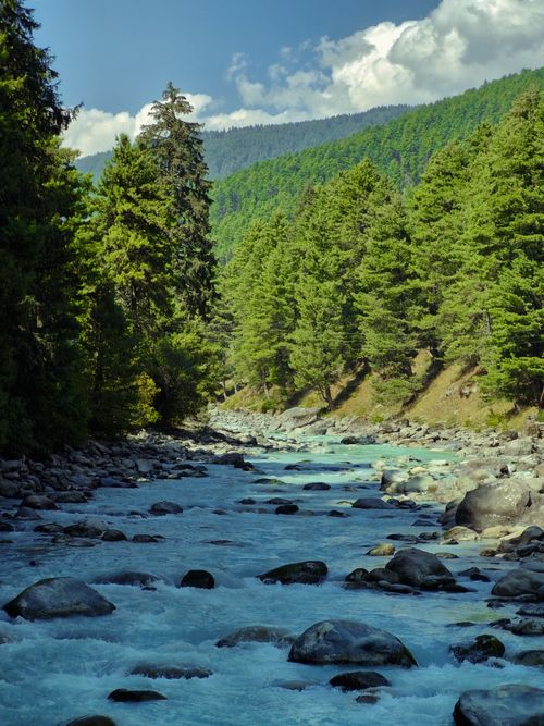 Free Serene mountain river with clear water flowing through lush green forest and rocky stream bed under blue sky. Stock Photo