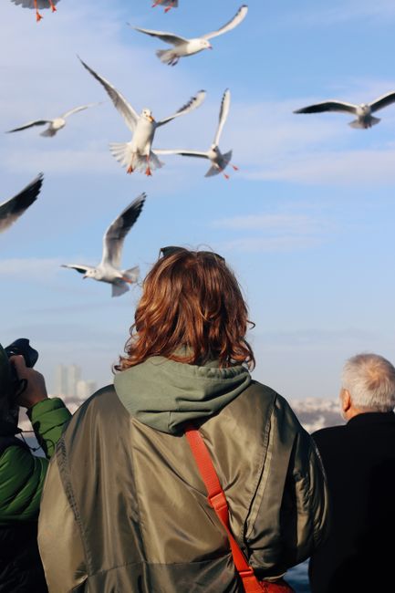 Captured moment of people watching seagulls fly over the Bosphorus in Istanbul.