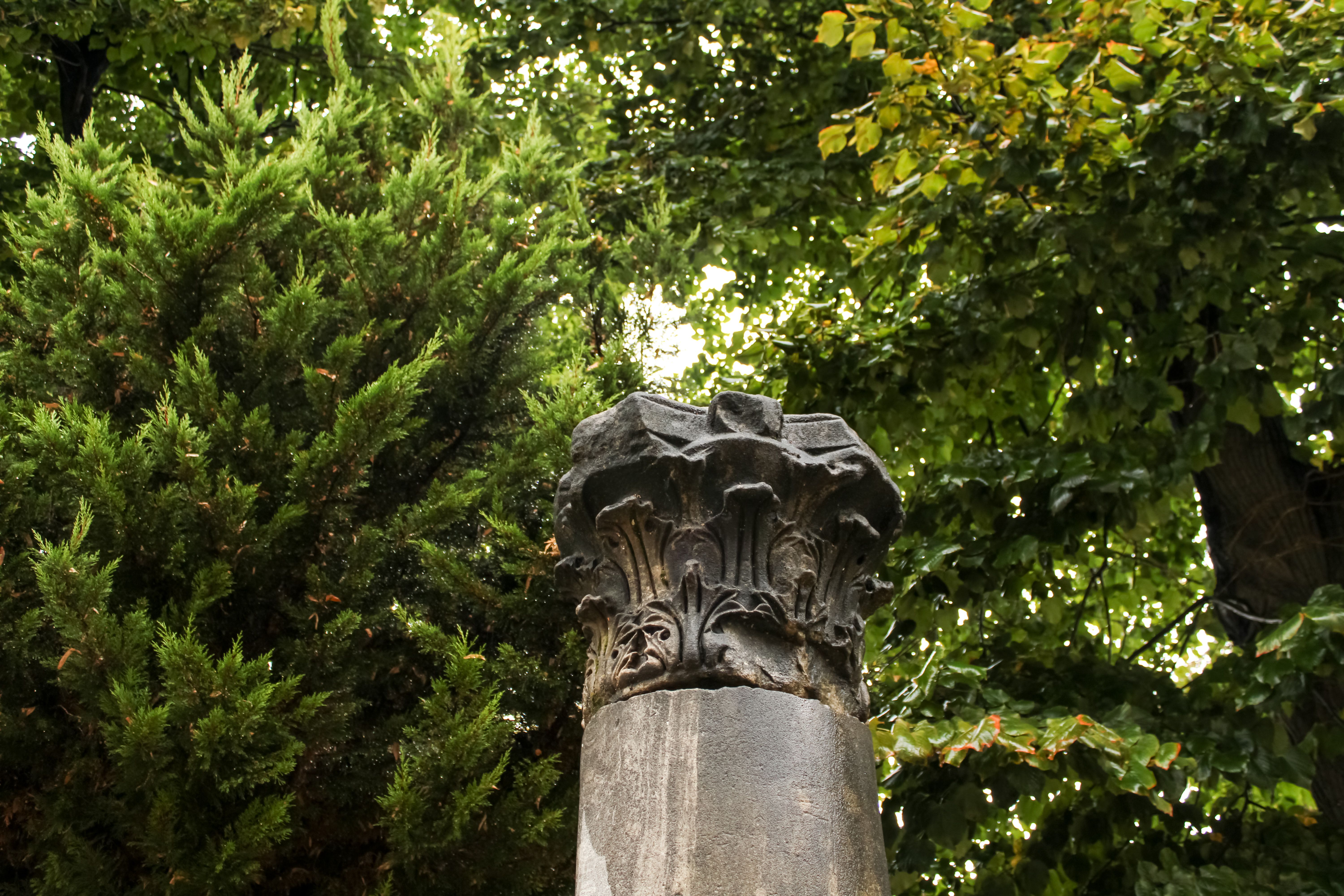 Ancient Roman column detail surrounded by lush greenery in İstanbul, Türkiye.