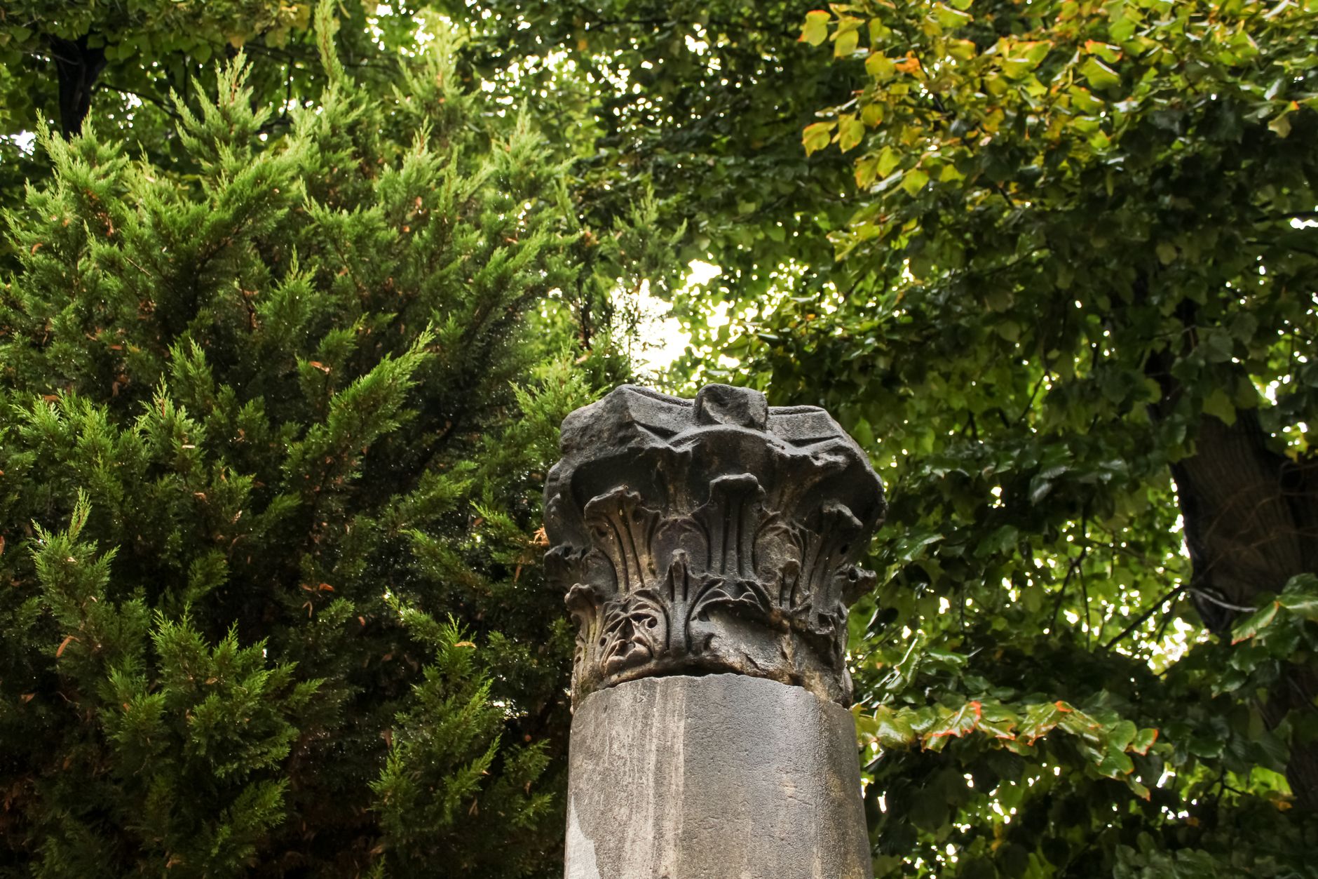 Ancient Roman column detail surrounded by lush greenery in İstanbul, Türkiye.