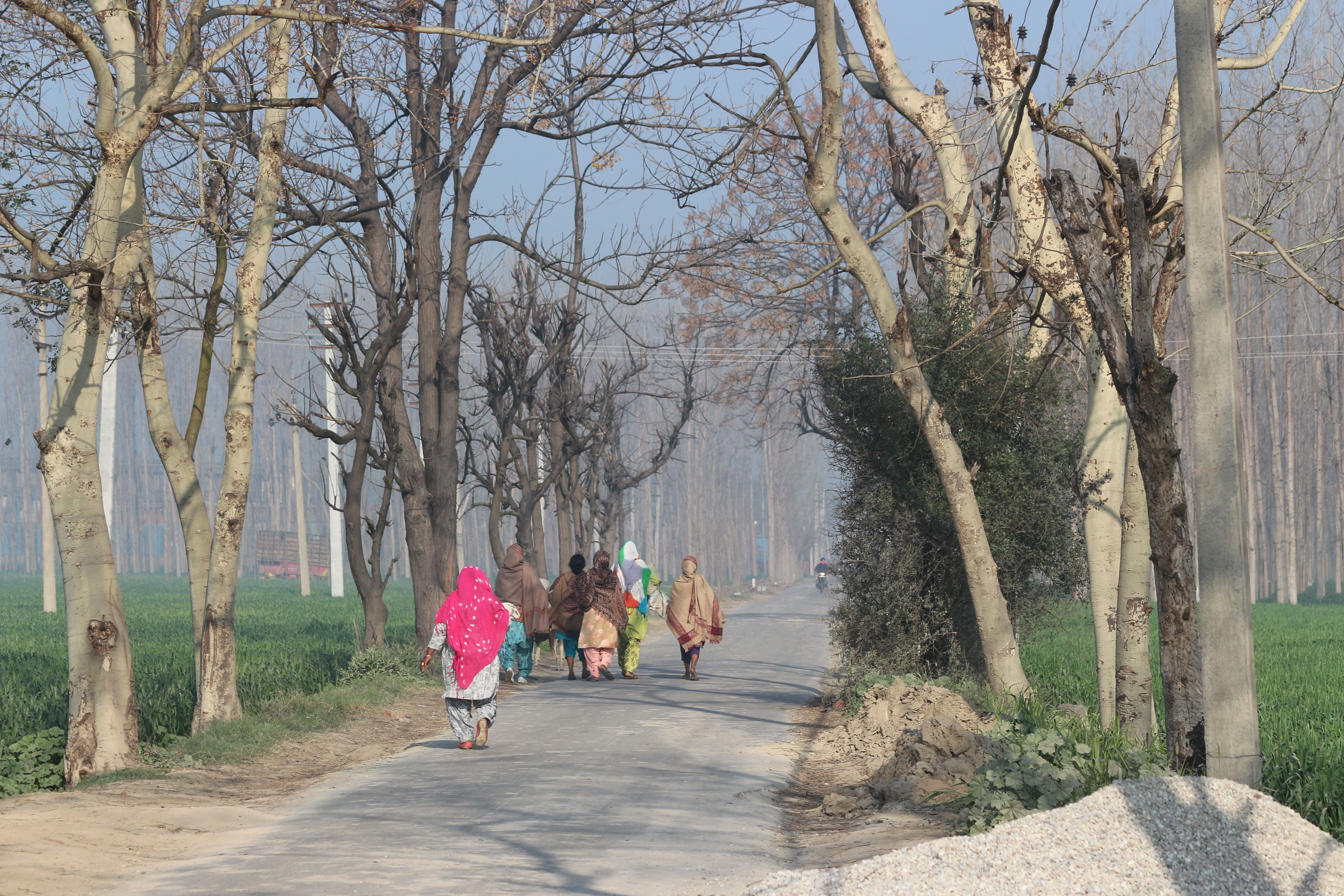 Foothill drive toward Kiratpur