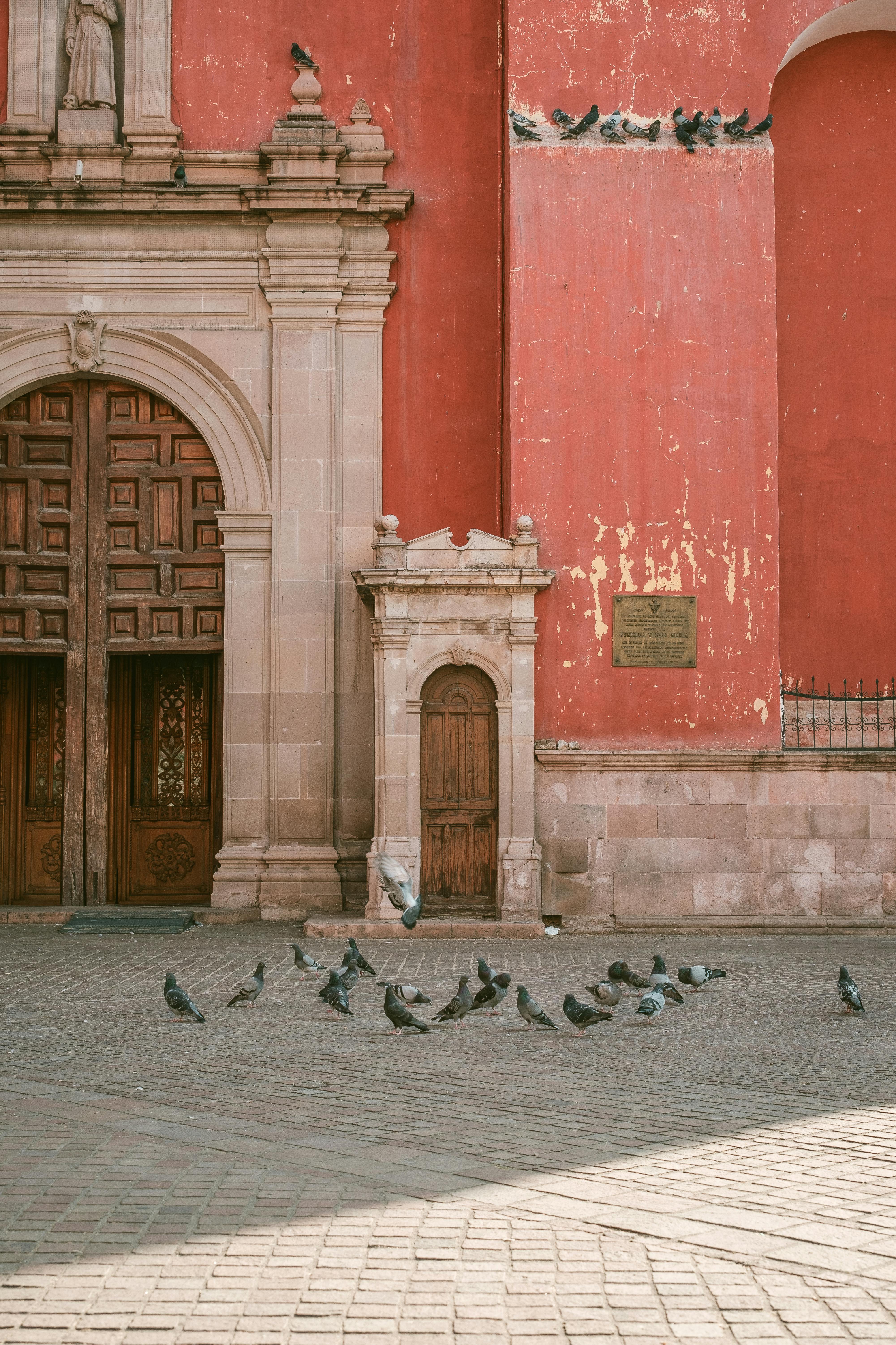 Pigeons gather in a sunny courtyard by a historic red building facade, creating a tranquil scene.