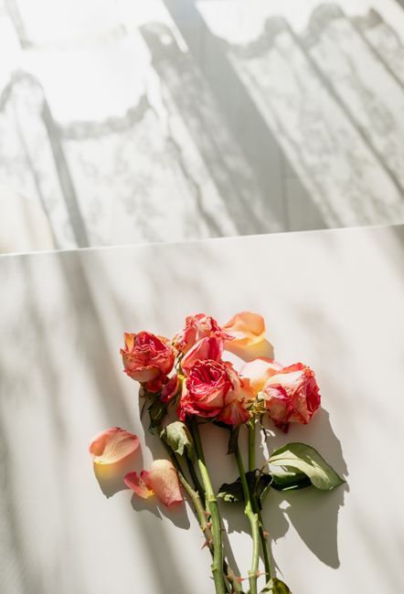A delicate arrangement of sunlit roses with scattered petals on a textured white surface.