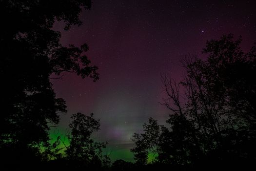 Majestic northern lights with vibrant aurora colors and silhouetted trees.