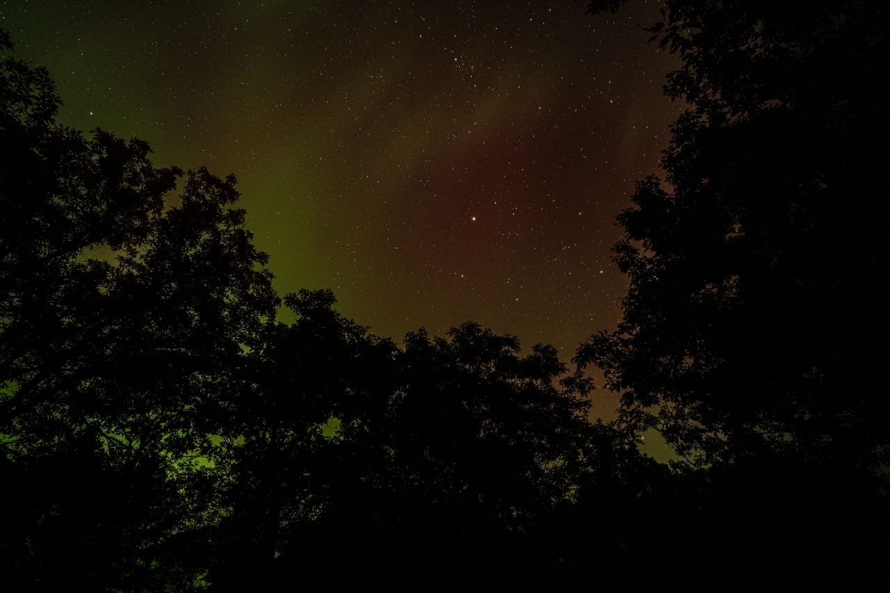 a captivating star filled night sky framed by dark tree silhouettes pe