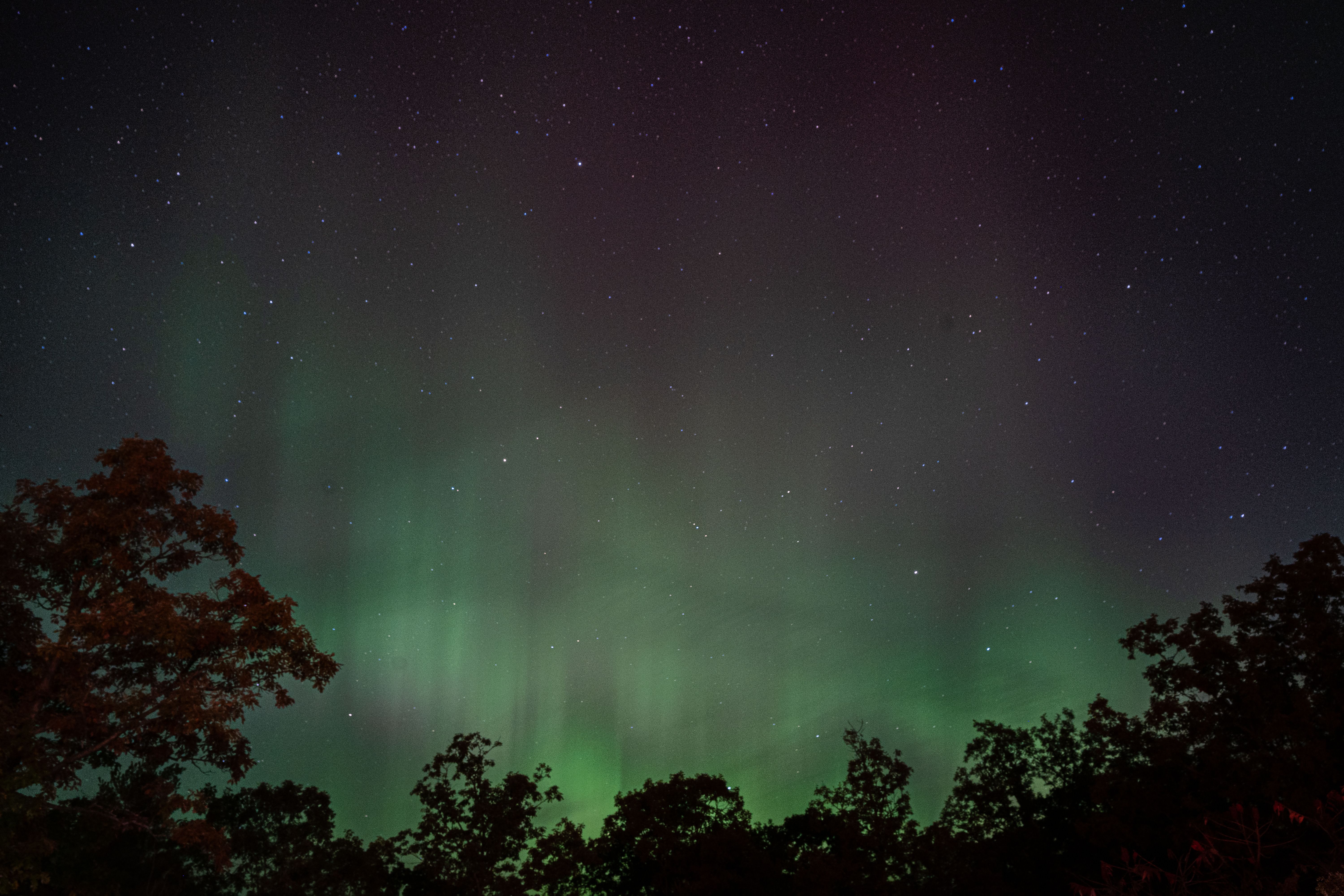 Find the best telescope for stargazing Canada