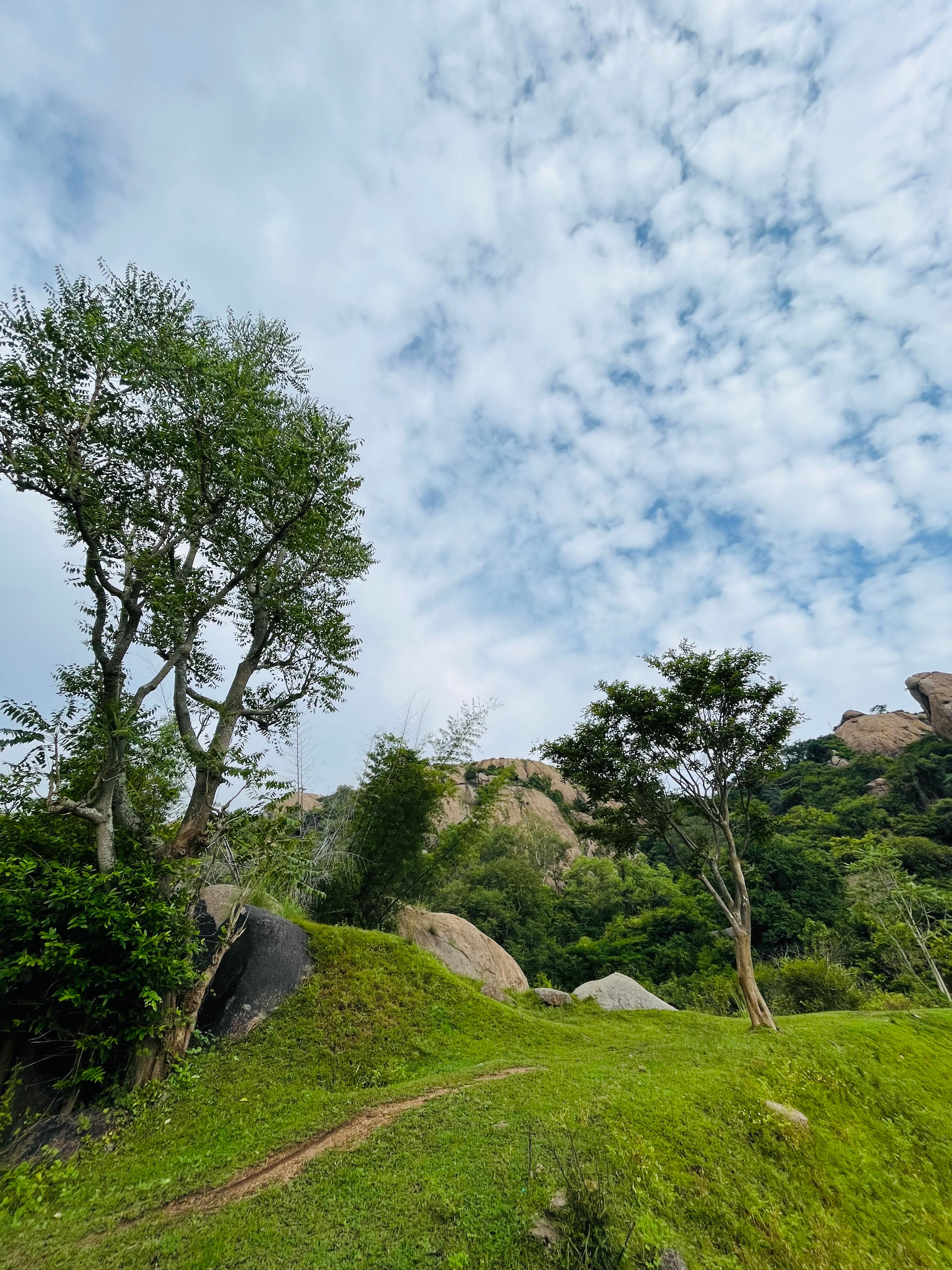 Lush Green Landscape with Trees and Rocks · Free Stock Photo
