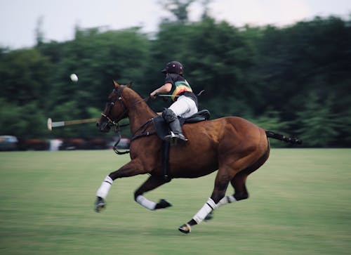 Panning Foto Van Persoon Rijdend Op Paard