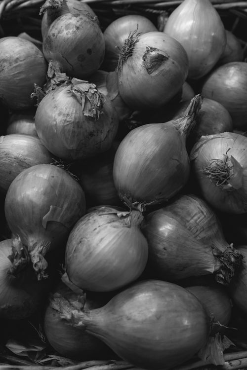 Free Monochrome image featuring a collection of fresh onions in a basket. Stock Photo