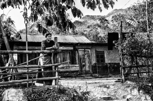 Free A woman stands near a rustic wooden fence in this black and white rural scene. Stock Photo