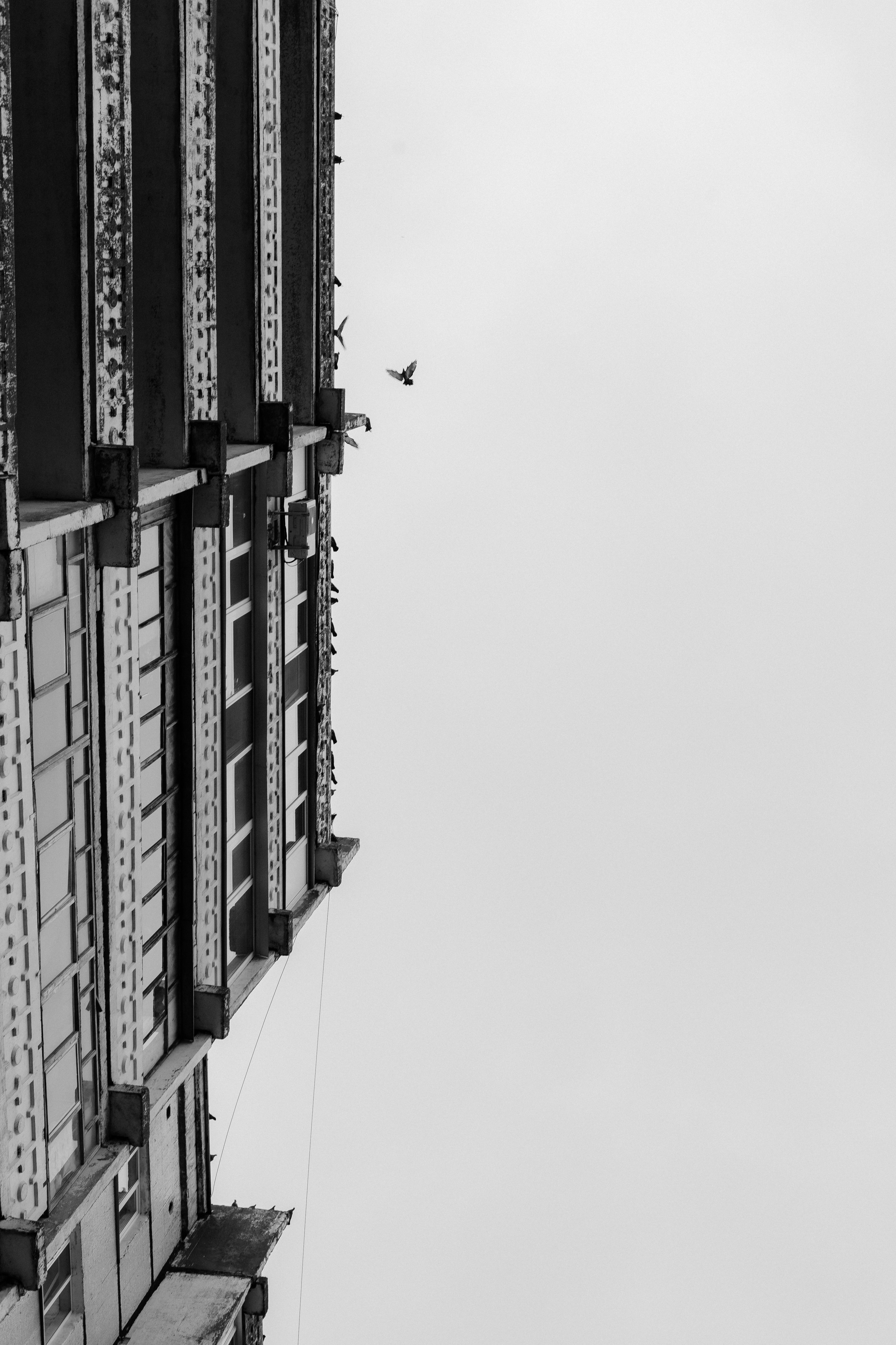 Dramatic Black and White Urban Architecture · Free Stock Photo