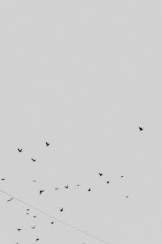 Black birds flying across a gray sky, showcasing minimalist design.