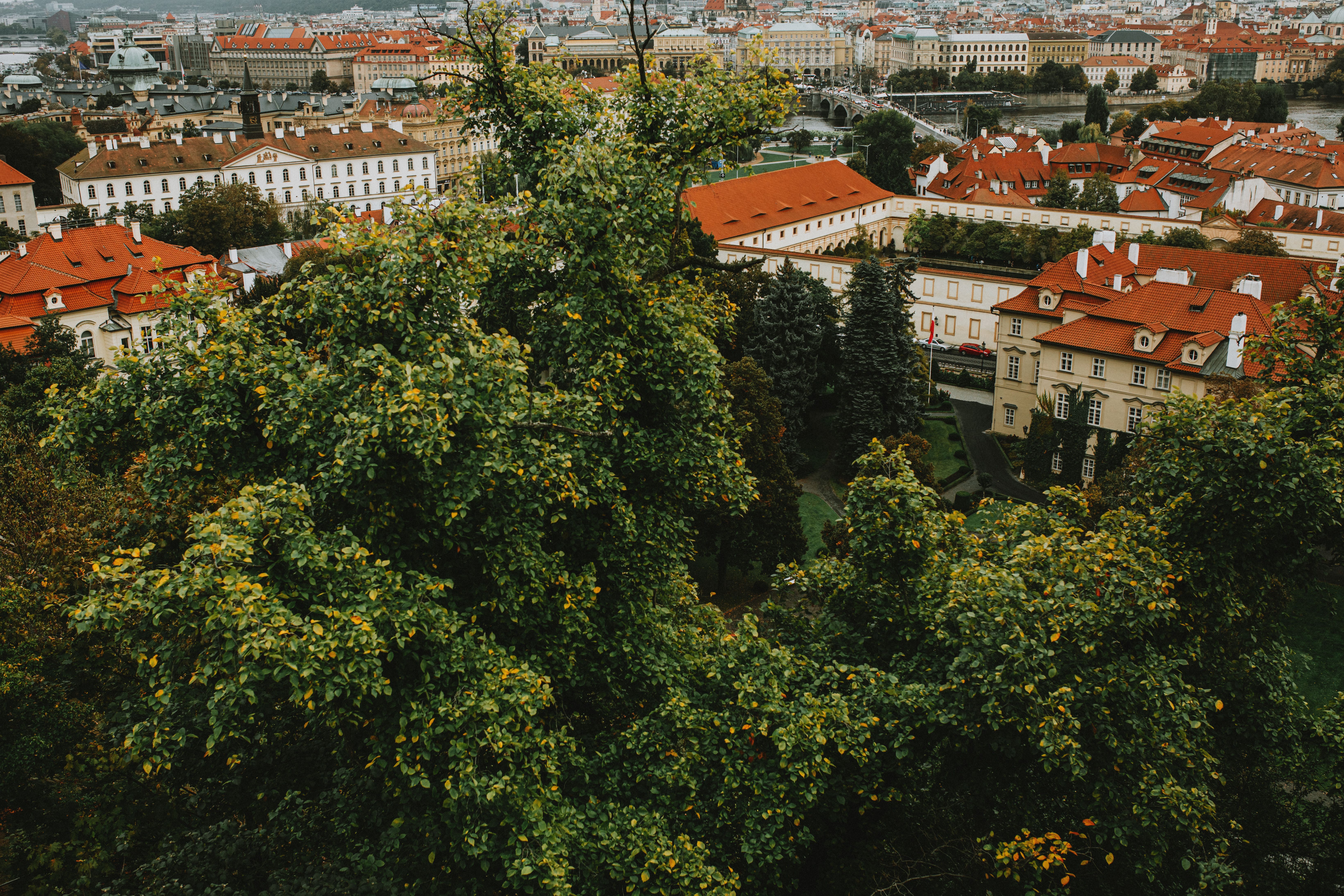 Aerial view of Prague with red rooftops and lush greenery, showcasing its historic architecture.