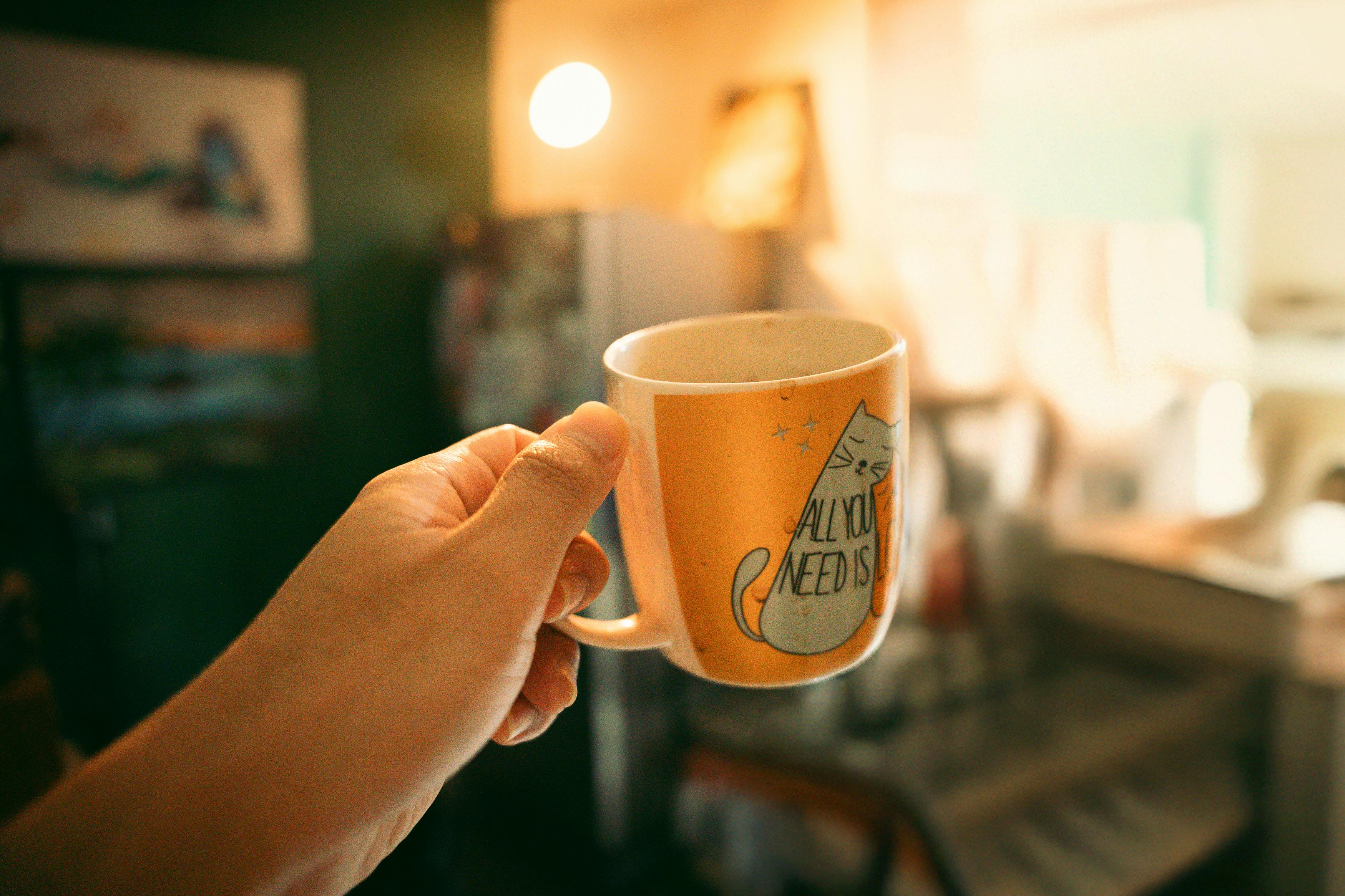 Warm indoor scene with a hand holding a cat-themed mug.