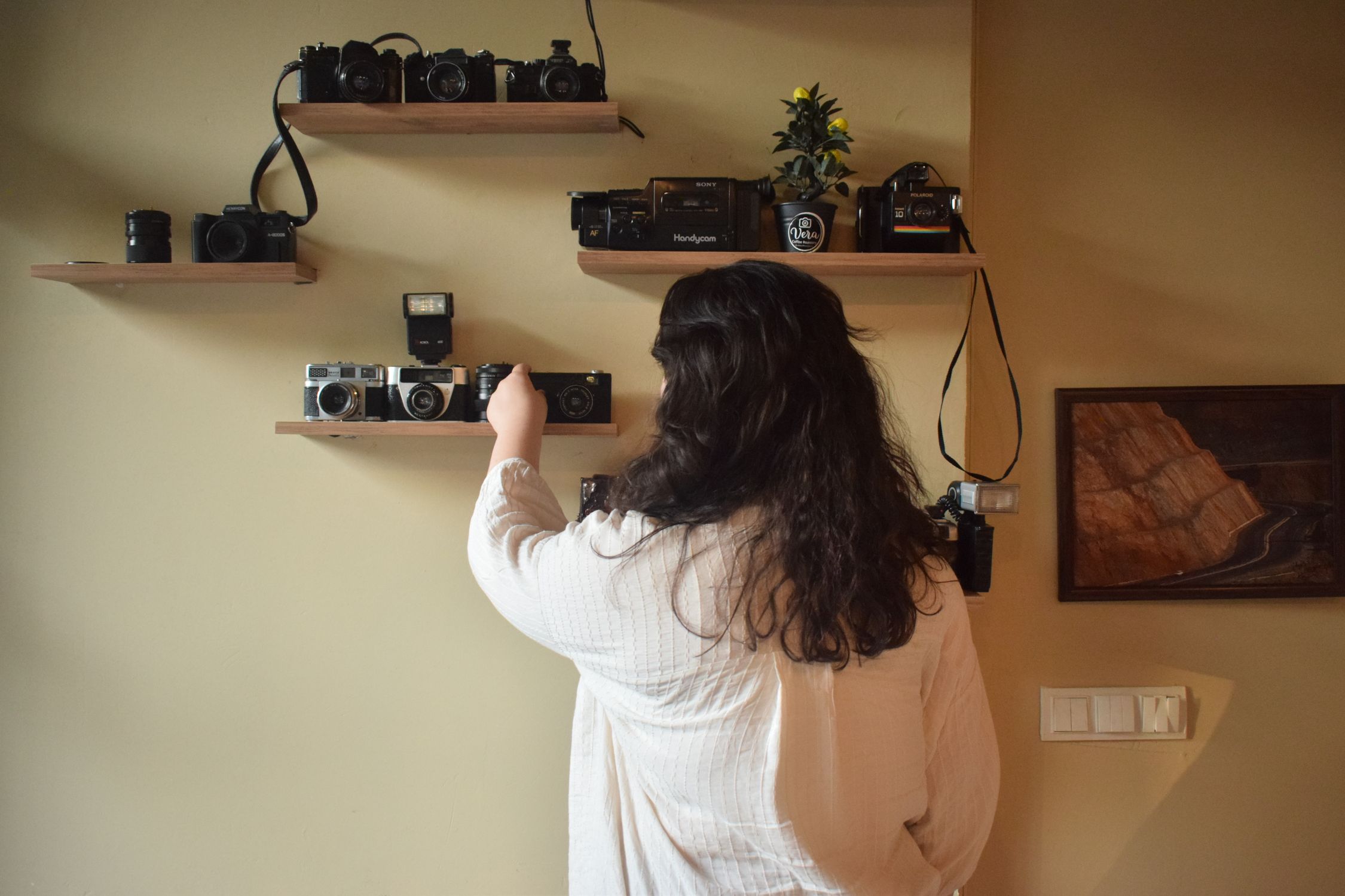 Woman arranging vintage cameras on wall shelves · Free Stock Photo
